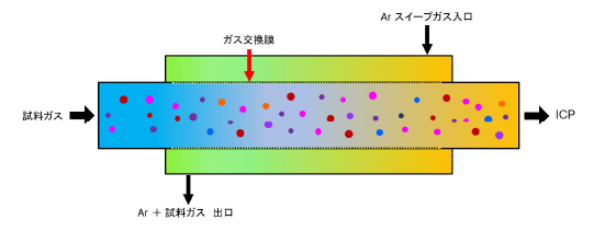 GEDの構造